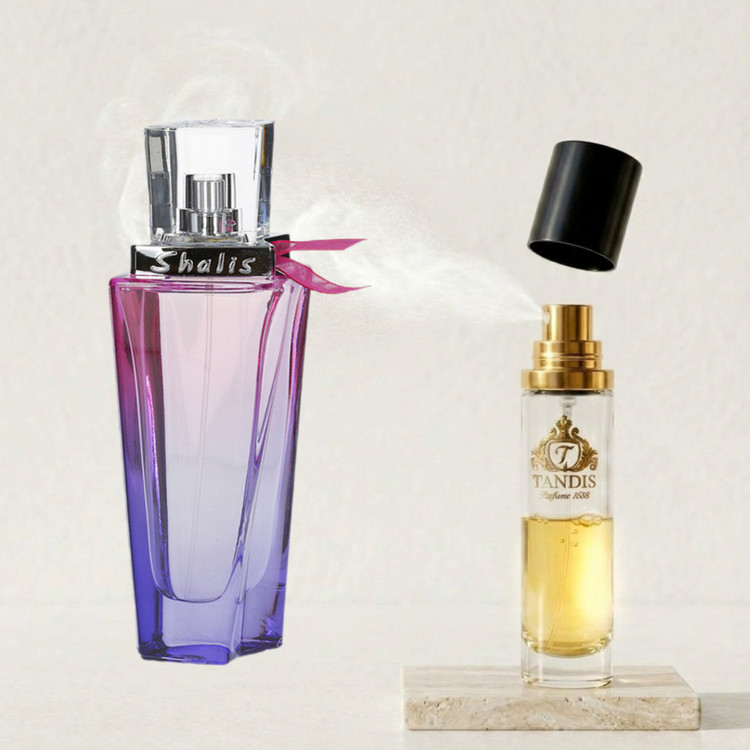 عطر ادکلن رمی مارکویس شالیز